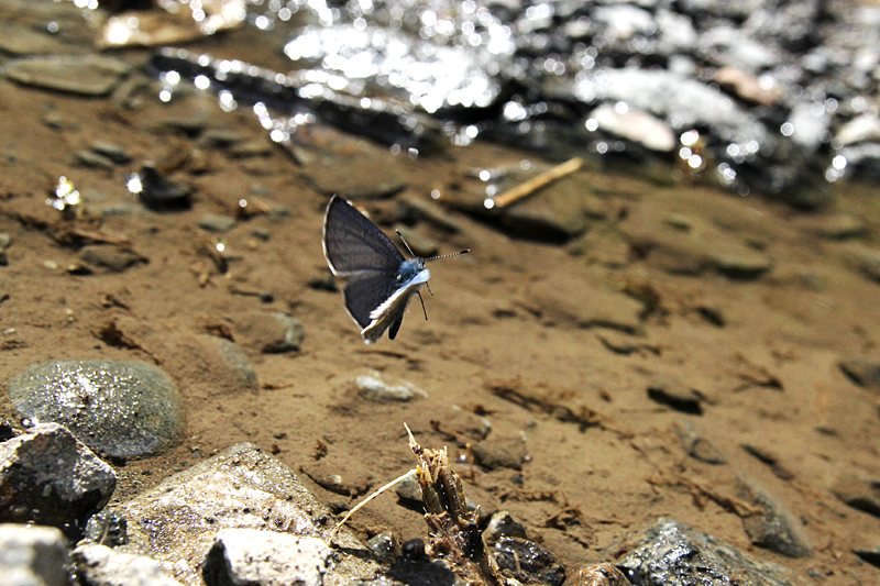 d0054625_2071432.jpg