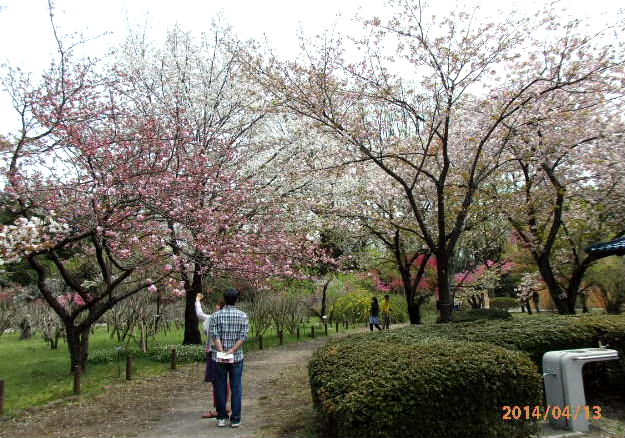 深大寺＆神代植物公園_a0108328_20332835.jpg