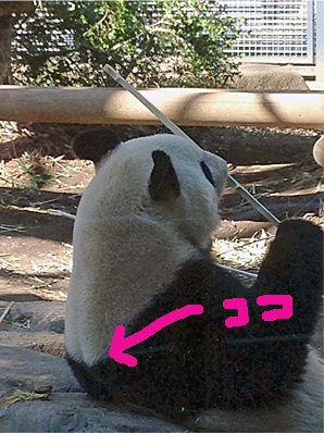 d0133128_23382685.jpg
