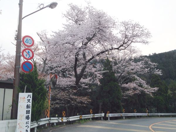 b0004229_848121.jpg