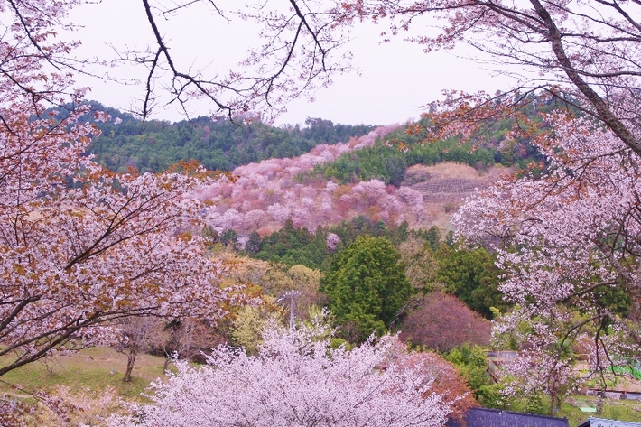 c0113733_229468.jpg