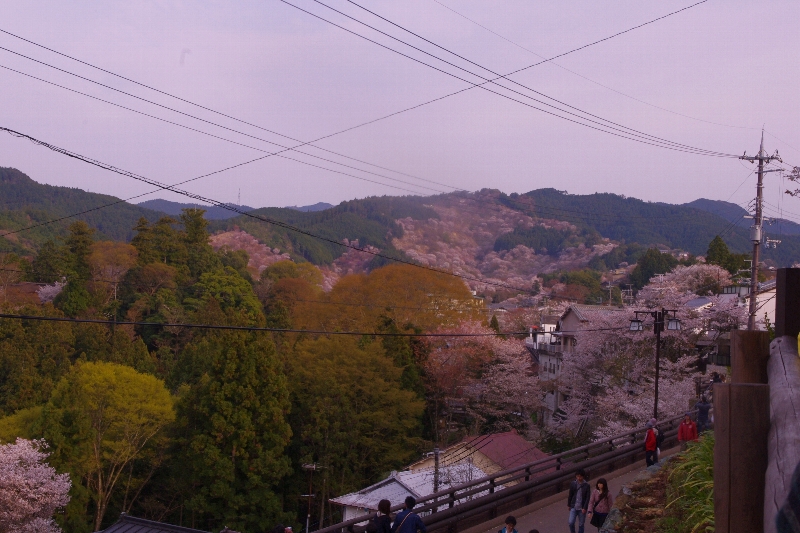 c0113733_2402788.jpg
