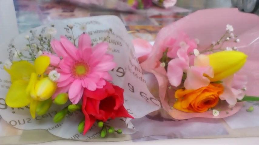 d0252434_17402137.jpg