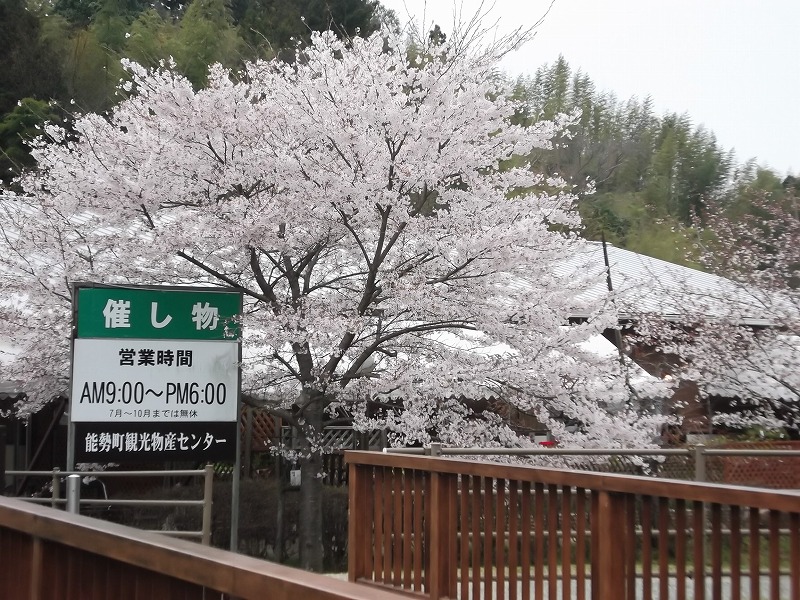 道の駅「くりの里」の桜_a0127636_13272897.jpg