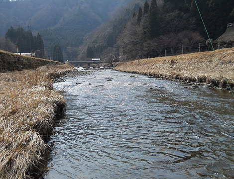 b0174137_1854776.jpg