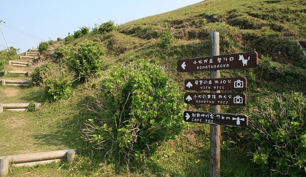 f0042737_10263632.jpg
