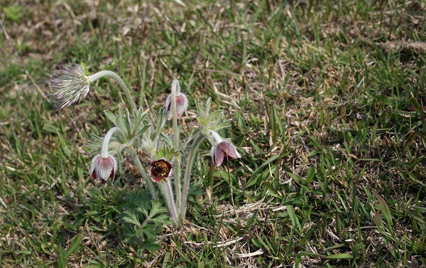 f0042737_10353886.jpg
