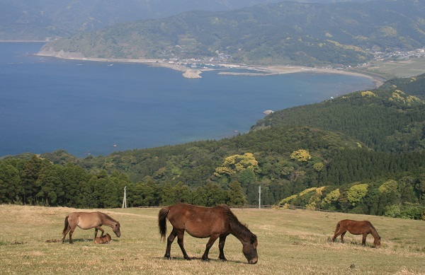 f0042737_10401976.jpg