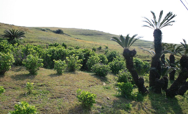 f0042737_10595991.jpg