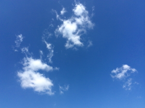 e0156339_22585893.jpg