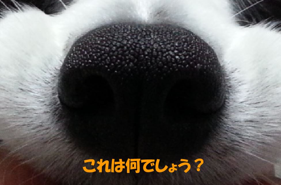 c0147241_20512546.jpg