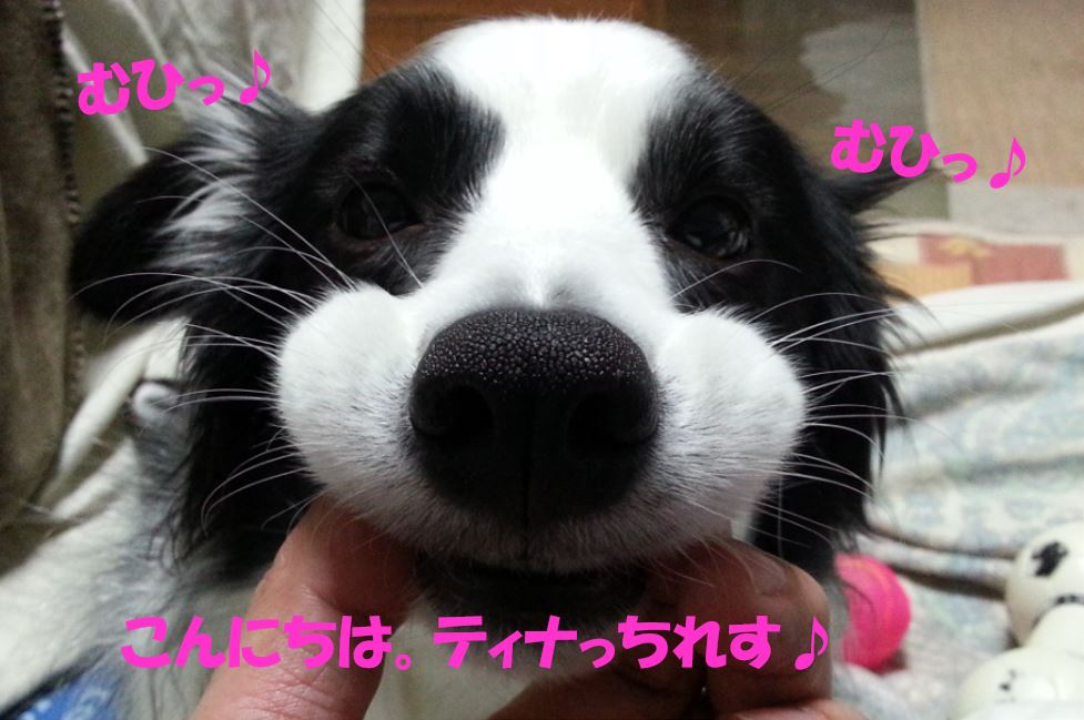 c0147241_20513671.jpg