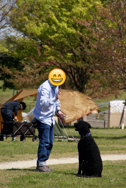 桜の次は 蹴っ飛ばしさくら_f0326141_19352609.jpg