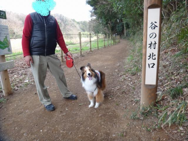 里山の公園でお散歩のほほん_e0195743_12173794.jpg