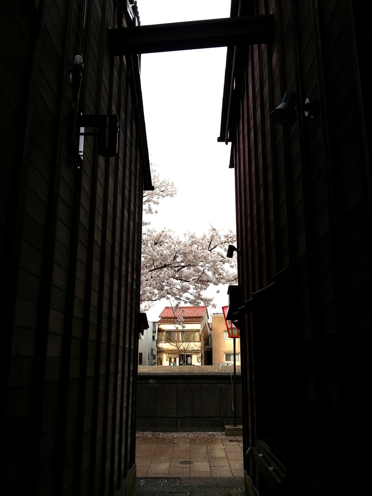 b0250144_23274127.jpg