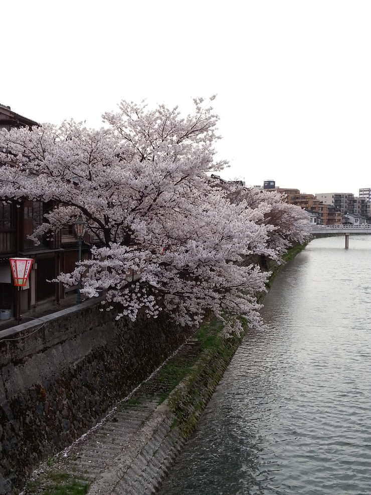 b0250144_2330188.jpg