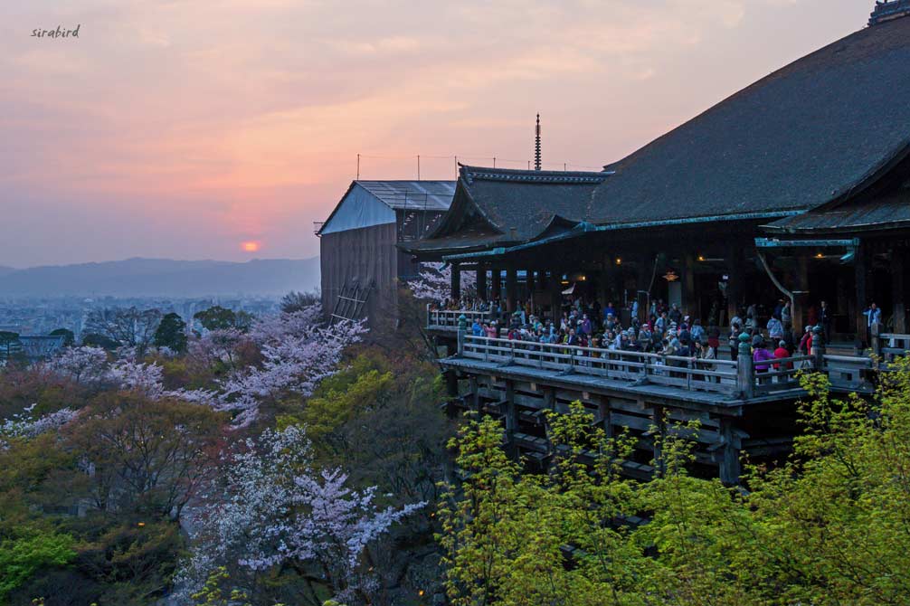 ４．夕暮れの清水寺（京都・洛東）_d0238245_11130823.jpg