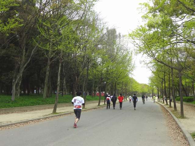 桜から新緑への大阪城公園　2014.4.13_d0151746_1640443.jpg