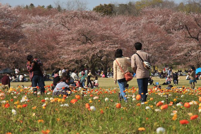 昭和記念公園　♪　みんなの原っぱ_e0295348_14103925.jpg