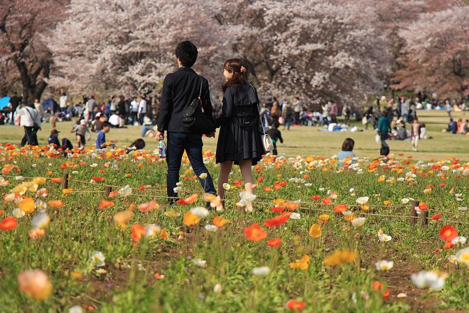 昭和記念公園　♪　みんなの原っぱ_e0295348_1411787.jpg