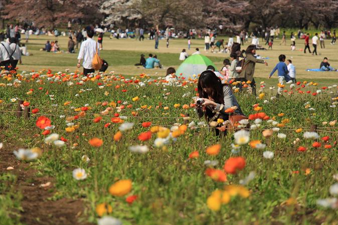 昭和記念公園　♪　みんなの原っぱ_e0295348_14303221.jpg