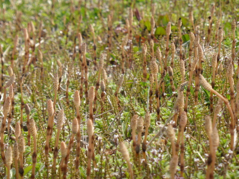 b0238249_15243837.jpg