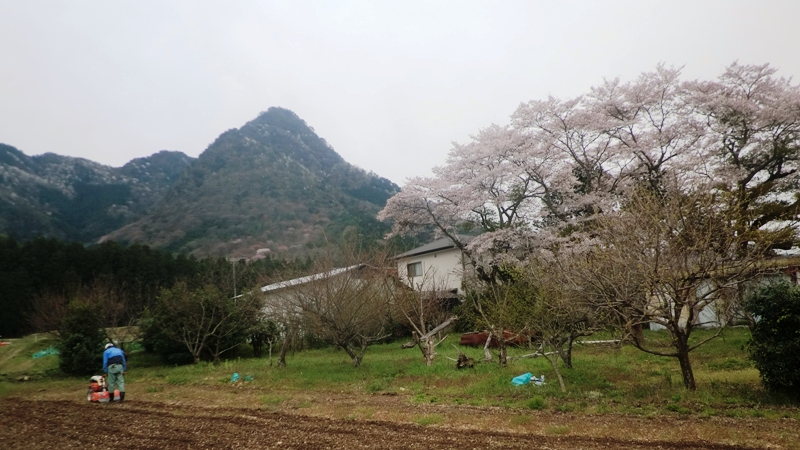 丹波の名峰 三尾山_b0227552_2117025.jpg