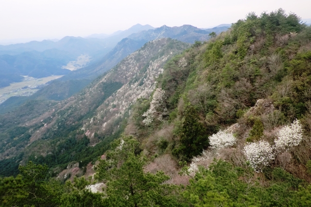 丹波の名峰 三尾山_b0227552_21251111.jpg