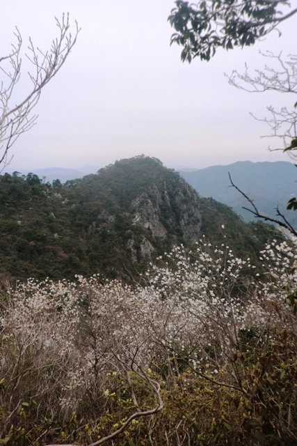 丹波の名峰 三尾山_b0227552_212607.jpg