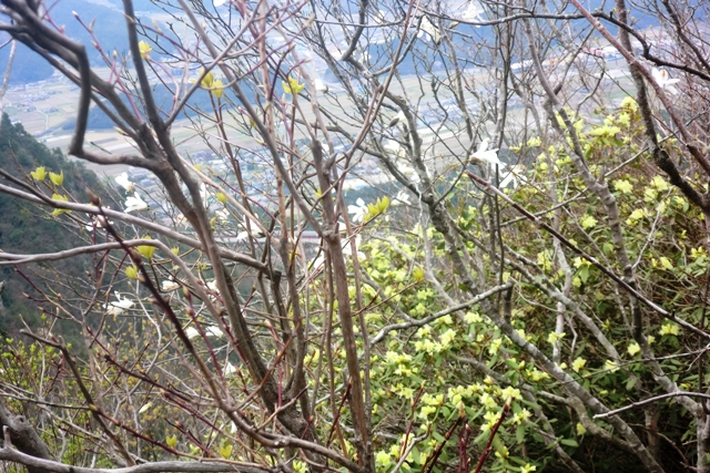 丹波の名峰 三尾山_b0227552_21264210.jpg