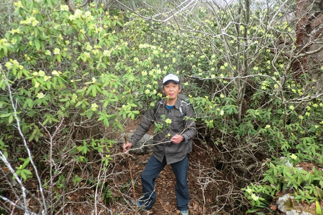 丹波の名峰 三尾山_b0227552_2129124.jpg