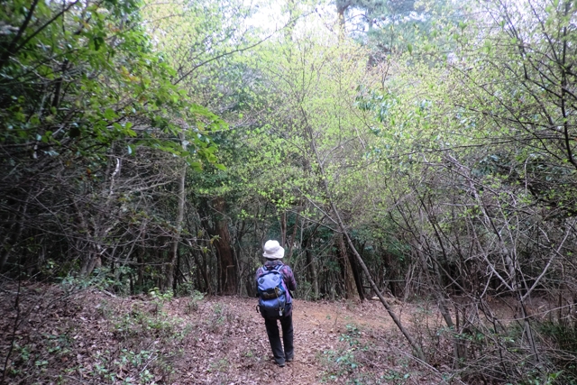 丹波の名峰 三尾山_b0227552_21292911.jpg