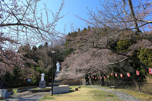 桜前線_b0223754_2333212.jpg