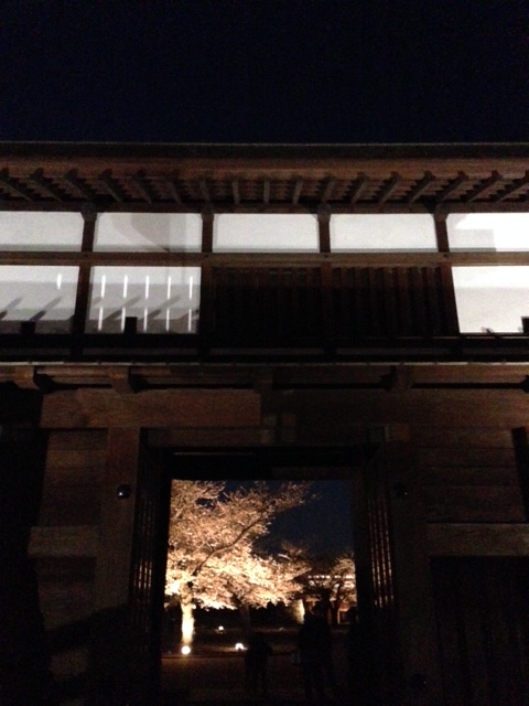 松代春まつり 灯りの演出(4/11~20 18:00~21:00)_f0320754_0592120.jpg