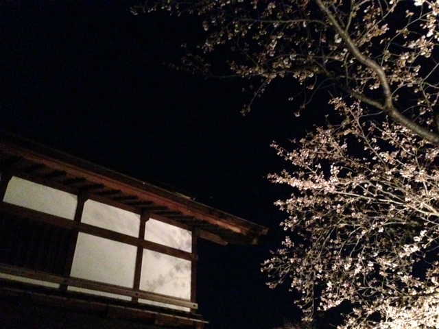 松代春まつり 灯りの演出(4/11~20 18:00~21:00)_f0320754_104259.jpg