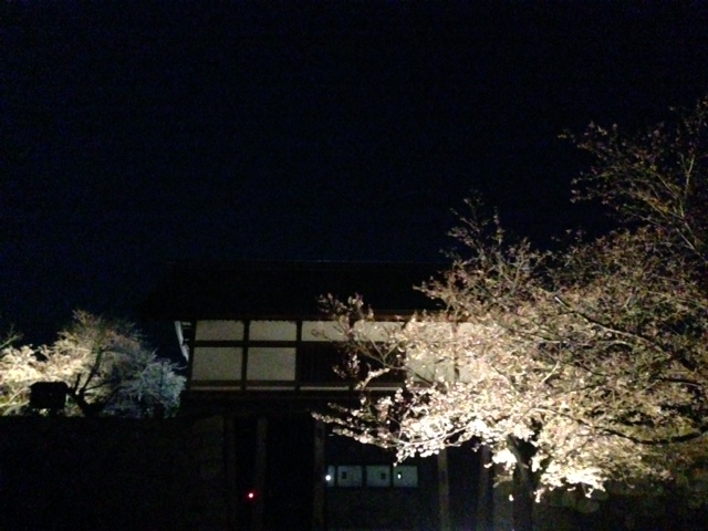 松代春まつり 灯りの演出(4/11~20 18:00~21:00)_f0320754_10463.jpg
