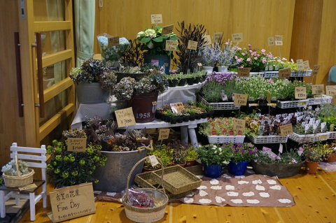 e0123255_15521.jpg