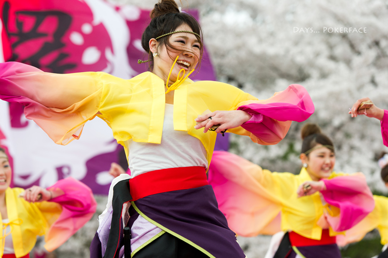 2014 京都さくらよさこい 1_d0079559_12242582.jpg