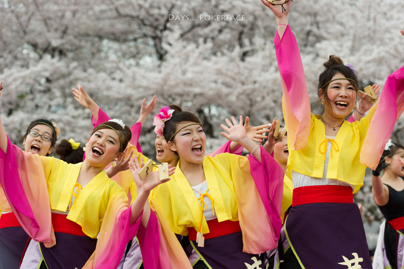 2014 京都さくらよさこい 1_d0079559_12245530.jpg