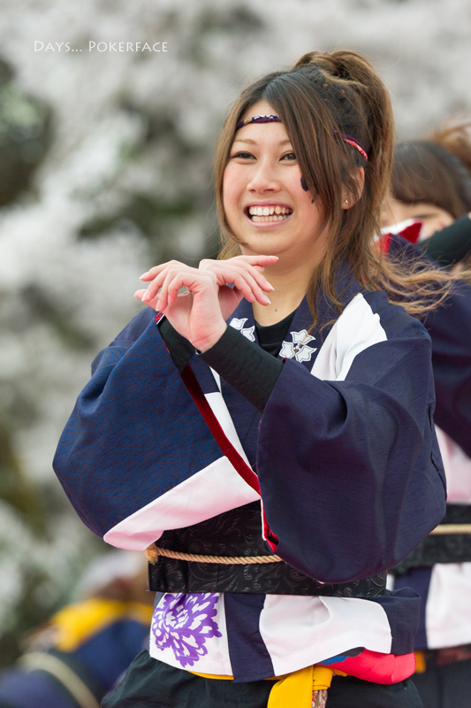 2014 京都さくらよさこい 1_d0079559_12255850.jpg