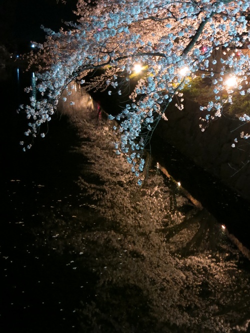 f0236260_2110591.jpg