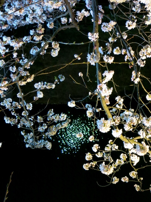 f0236260_21133132.jpg