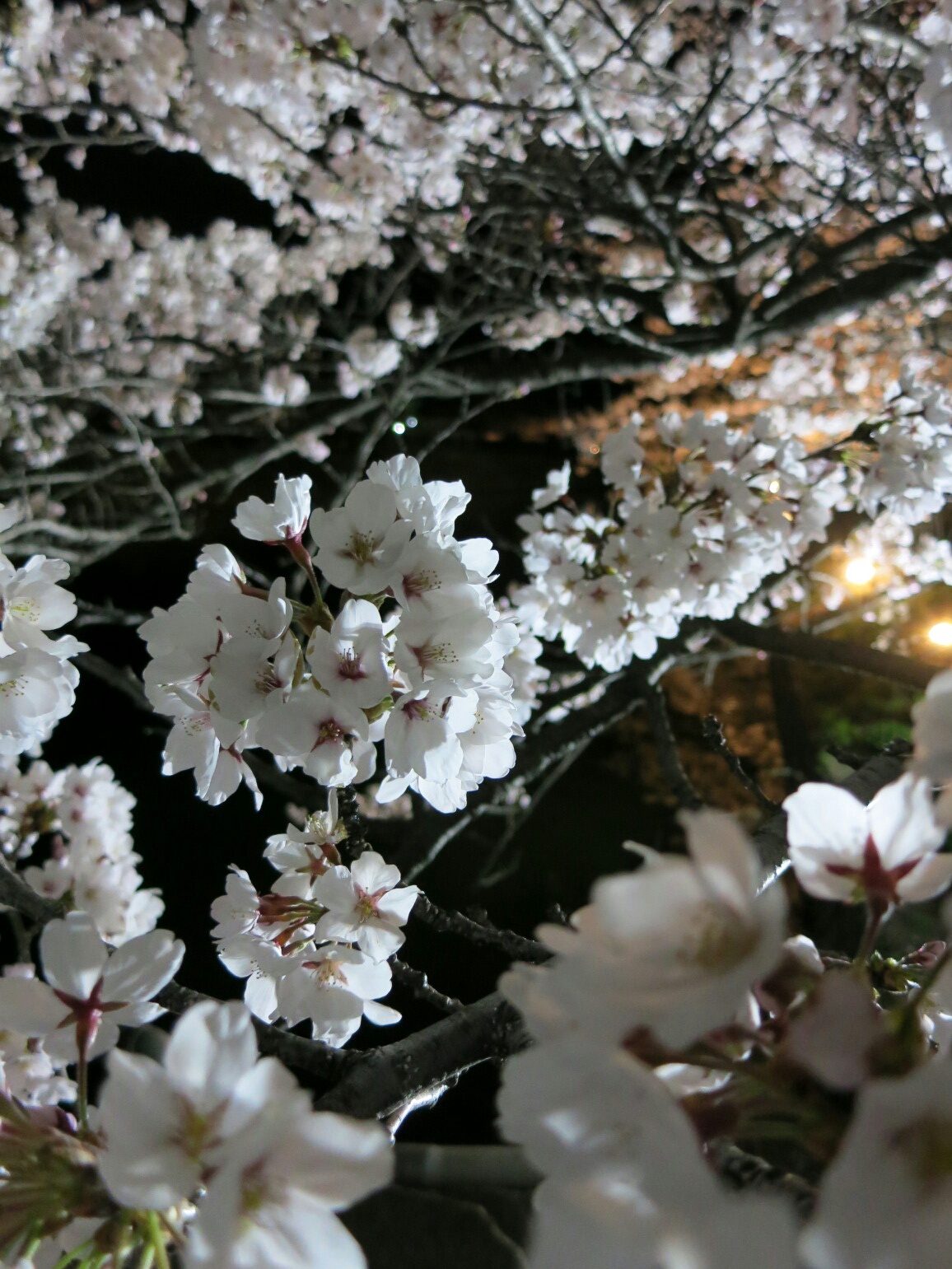 f0236260_21252969.jpg