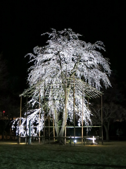 f0236260_23141244.jpg