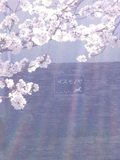 f0177261_1727736.jpg