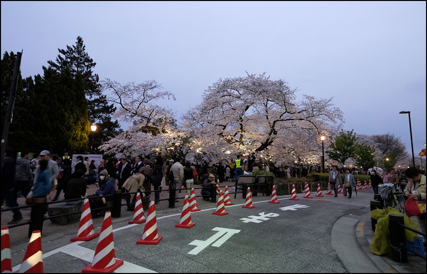 四月二日の乾門〜北の丸公園〜田安門〜九段〜千鳥ヶ淵緑道の 薄暮の桜_a0031363_1835976.jpg