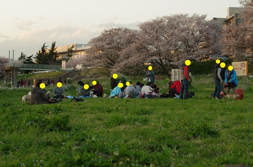 後編：花見でブヒ祭り_c0298565_715972.jpg