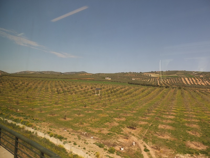 d0193569_1242958.jpg