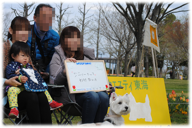 ♪ ダニエル チューリップ祭り2014 可愛い白犬さん＆チューリップ(*ﾟ▽ﾟ*)  ♪_b0242873_10283162.png