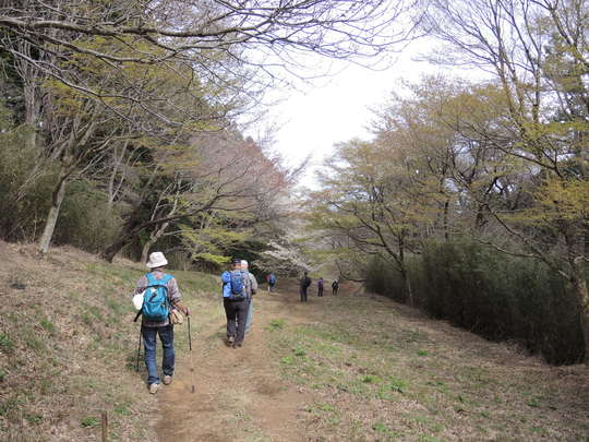 箱根浅間山802m_e0232277_11201382.jpg